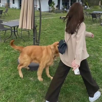 信长之枪